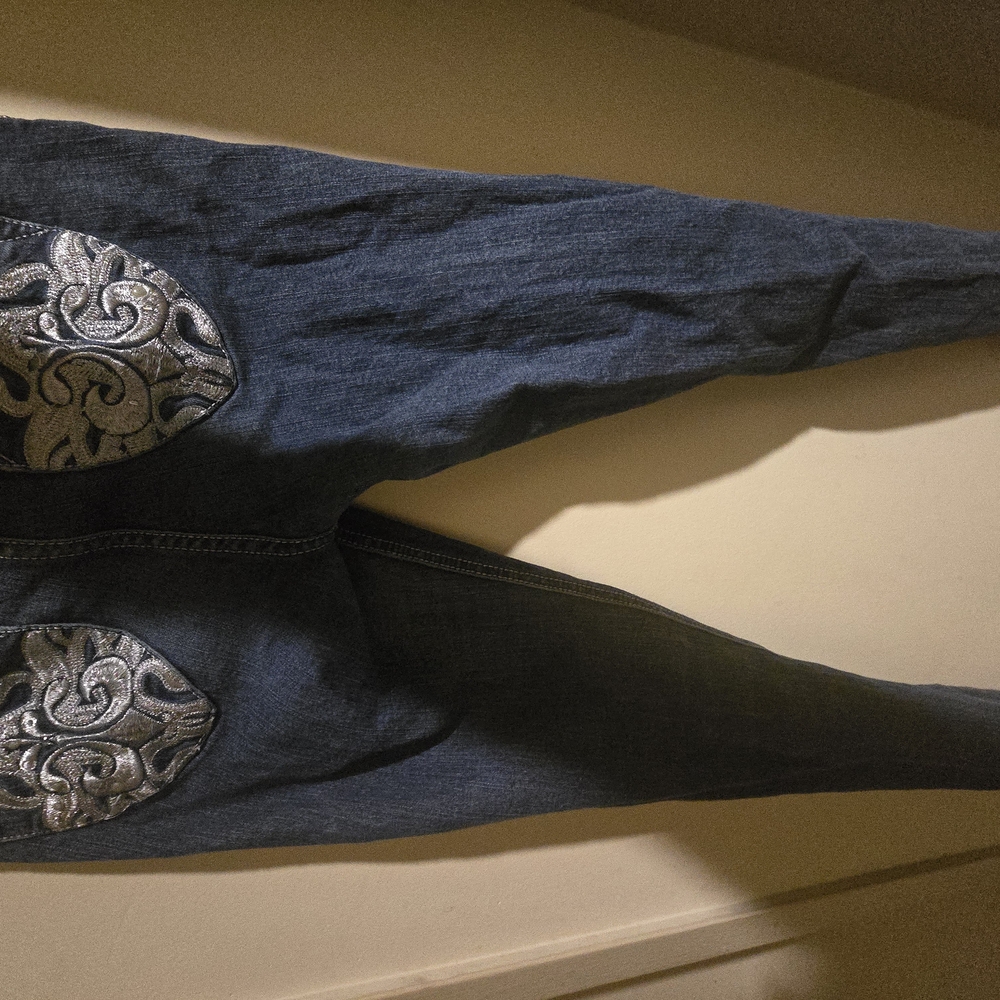 Dereon Blue and Silver Skinny Jeans with Ornate Embroidery